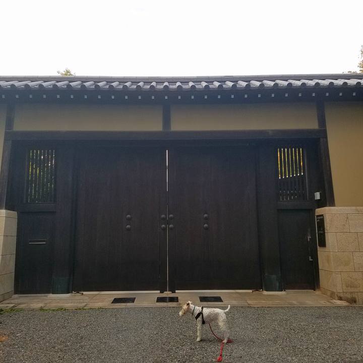 39713651 79a2 40b8 8893 ce9c4ca0b293 1541389989493