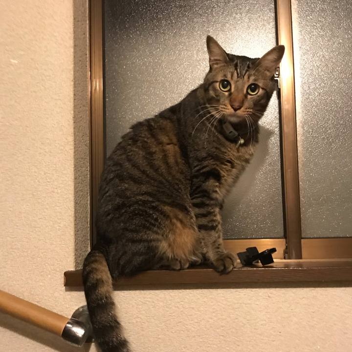 39713755 13eb 4d73 a1a7 4acd83e0f33a 1539263601147