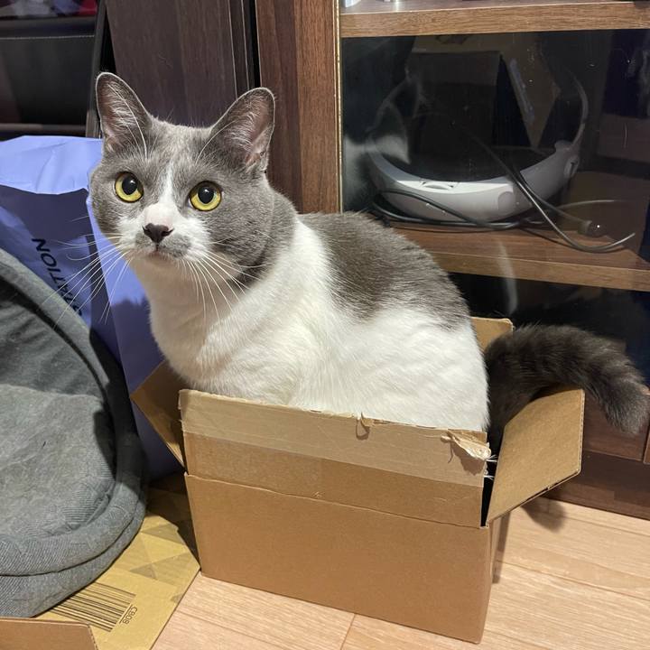 39713eae 34e9 41a0 924a 54963becd911 1662636292132