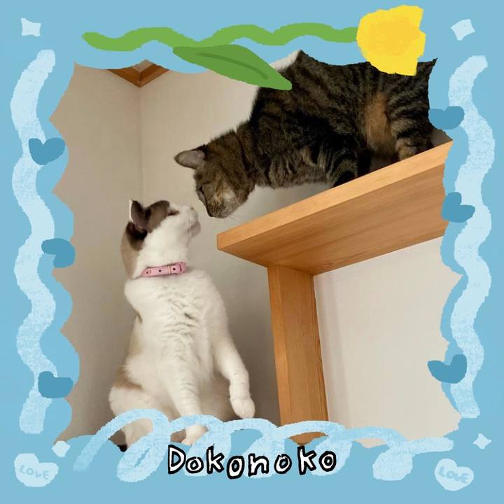 39714d4c f9d9 4a88 9c8d c4663433098f 1771993104706