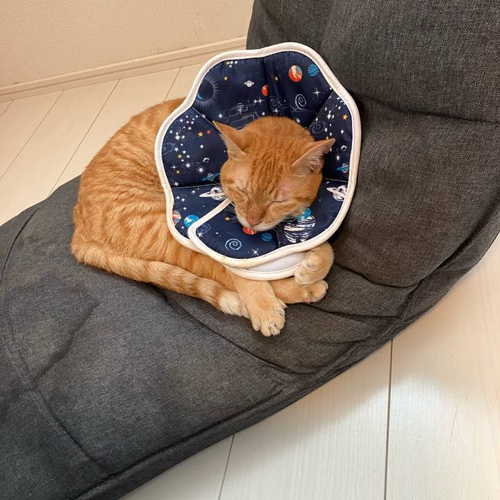 397190ea 6c27 488c b983 b0ab325ee079 1759643085084