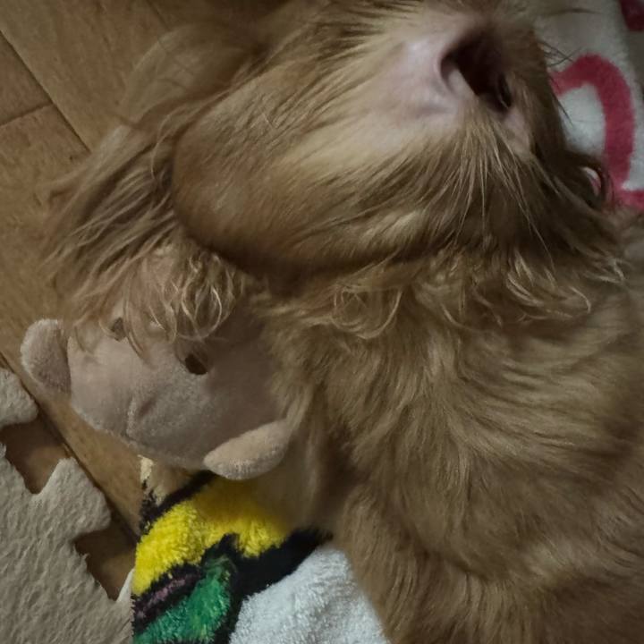 397194ef ae48 4b2f a95c c8af79ebafc0 1757871701937