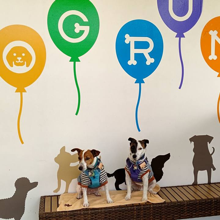 397196c1 287f 4e16 89b8 328b950163a9 1691713479607