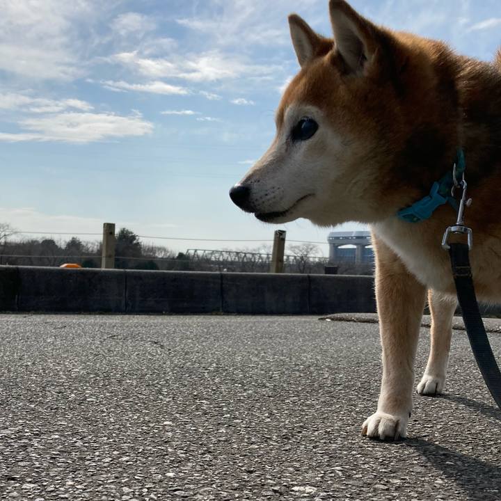 3971ada3 7f97 4104 a60d b1fd93239dbb 1740729637196