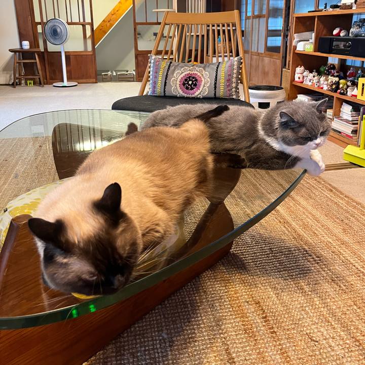 3972020e e18f 425b bcb2 82c684d73a7f 1721992714894