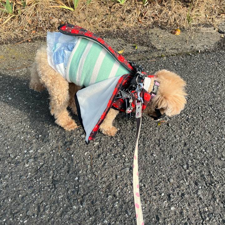 3972560a 2ab2 43f6 8364 7bd12eb39a59 1774597210898