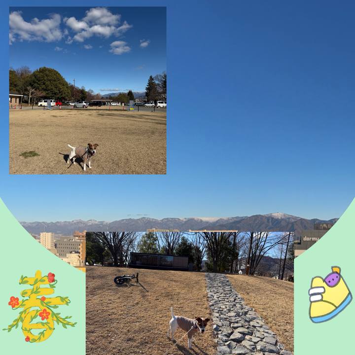 39726978 6412 45f6 b2c1 fe8f60856398 1772092165685