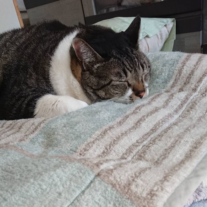 39727e64 676c 47d9 8e24 3a8bc901e3f0 1570928110957