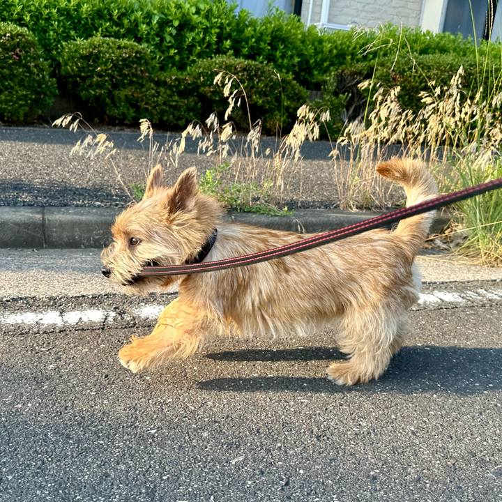 3972972b 4e90 4693 9f4d 78292e622961 1718808674065