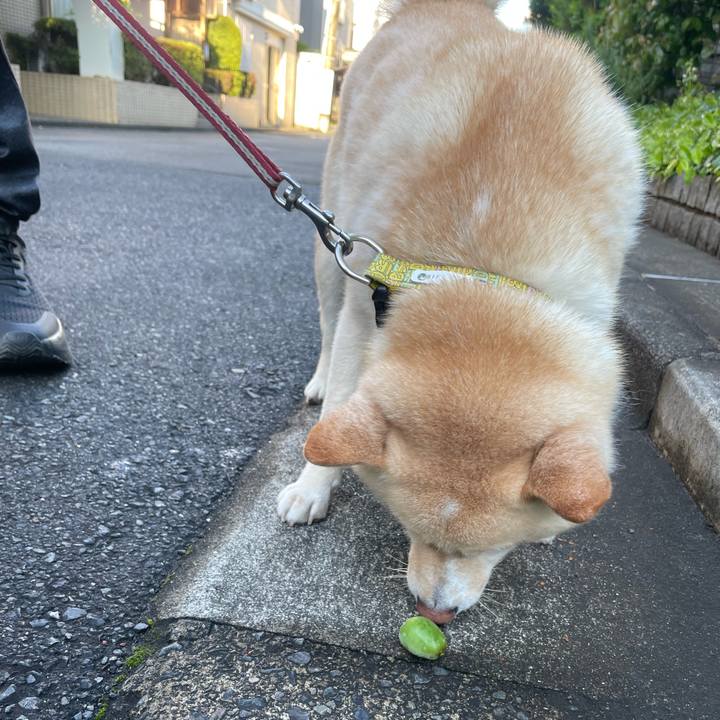 3972c01c 0868 4184 9d46 042e1e4775b9 1745878744619