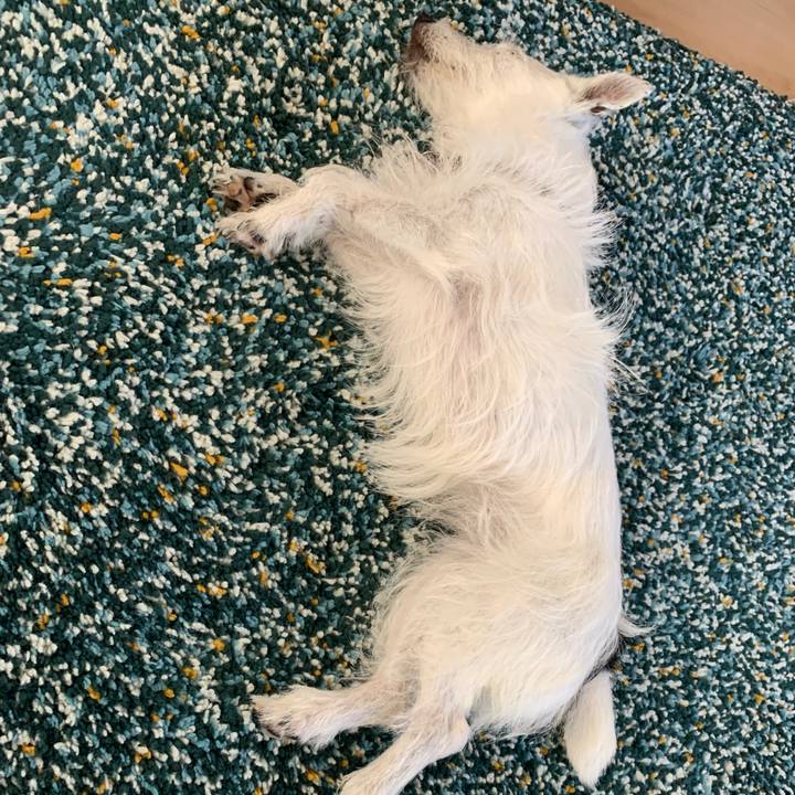 3972c3c7 3bef 439d 8a06 c464c3ed4f7c 1689476611672