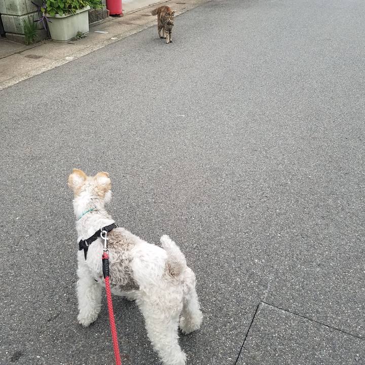 3972d90e e6b7 4719 89e5 b390bdfaac13 1562411947939