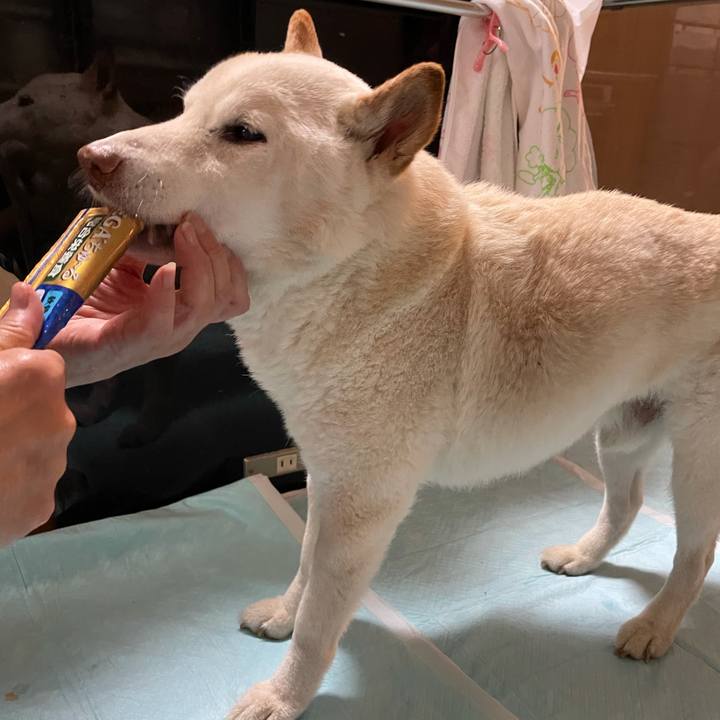 397310ee 5b2c 43c3 9214 8278f3e787e0 1634713598910