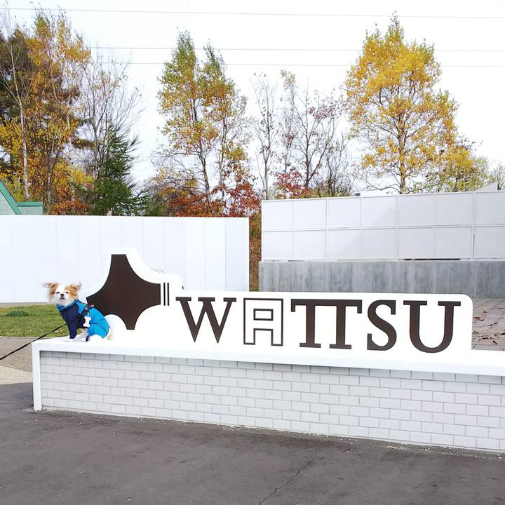 39734ab8 0c40 4cb7 9401 649f453cef46 1509244353634