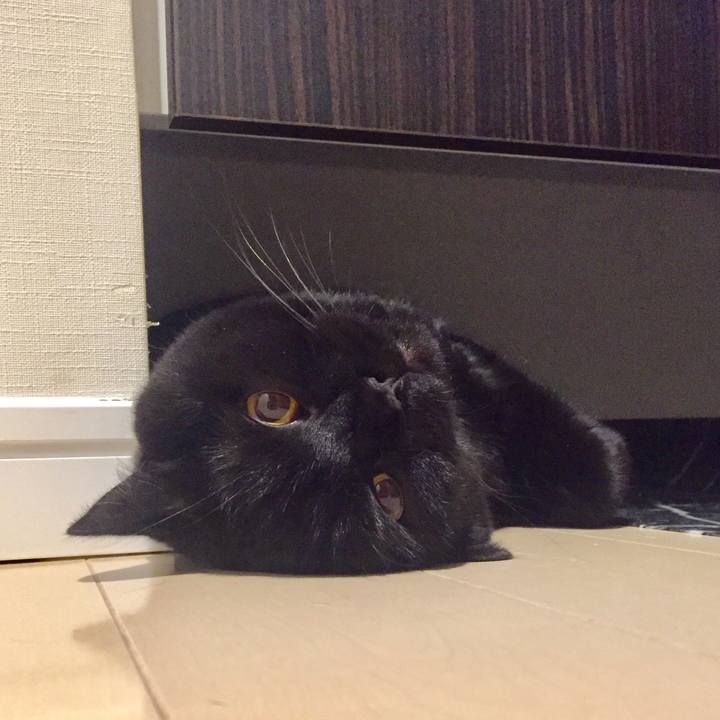 39734ed4 3bc8 4917 bc2a 9edc5e765178 1595755437086