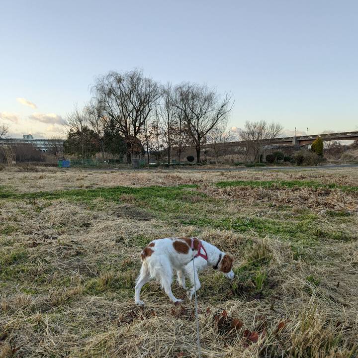 3974112d cce8 4a24 8dba 9a28ae8a8a9d 1644022320635