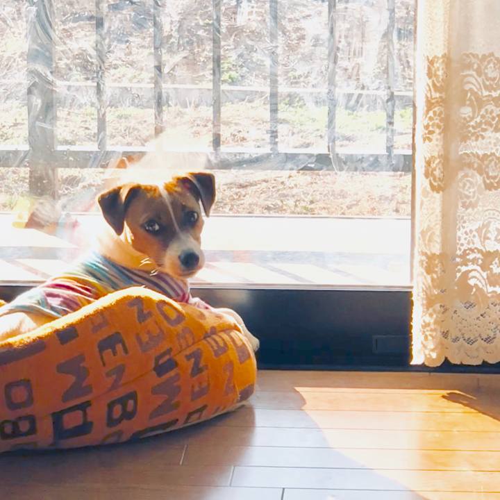 39744786 2ade 4d57 9ba8 f9f1ed22c0a7 1523575202256