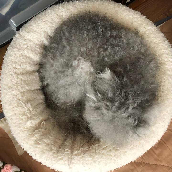 39744fa4 341d 4ff4 b1c3 de341fc15aaf 1597455938943