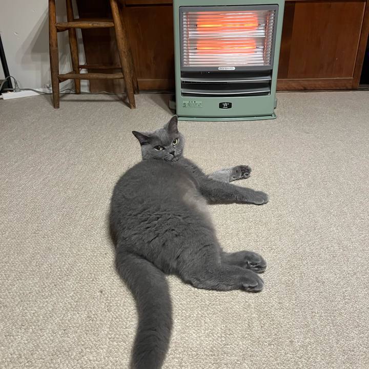 39745518 b2d5 49cb b458 e2de639e4834 1636027952254