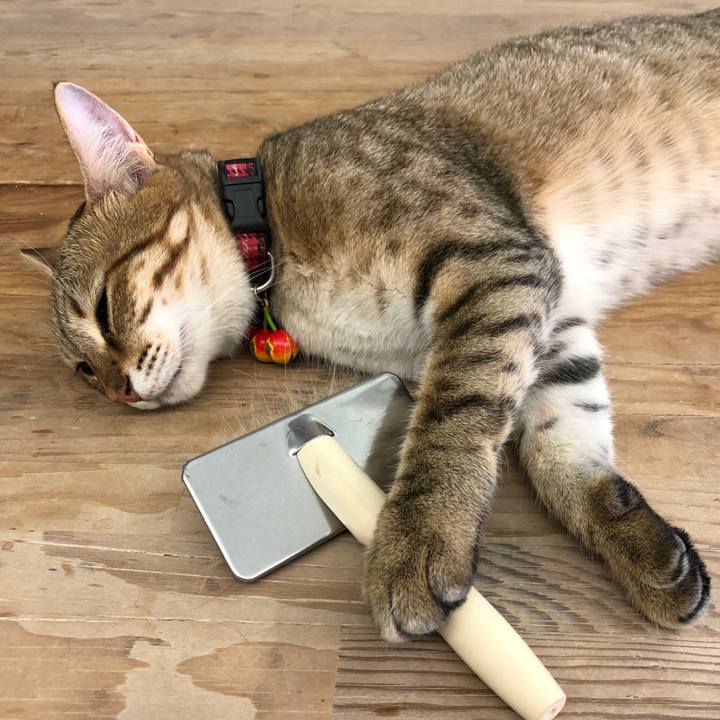 397457b0 f993 4120 8691 81ed70cd570b 1596879717567