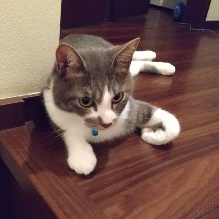 397486e7 148d 4573 9ed6 161eb745c819 1598879762096