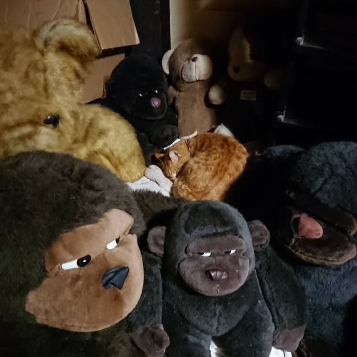 39749dff 8fa6 46b0 a9ac 482c7b1a59a1 1604748899449