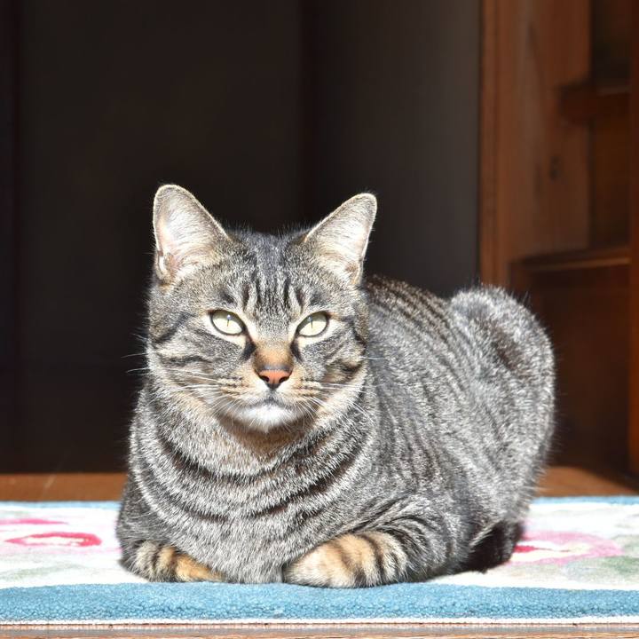 3974b361 75e6 4d7e bcc0 f71dabcc225e 1514785818600