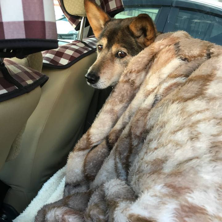 3974b6e6 2846 41ea be9e 7bcfb529846c 1518091337401