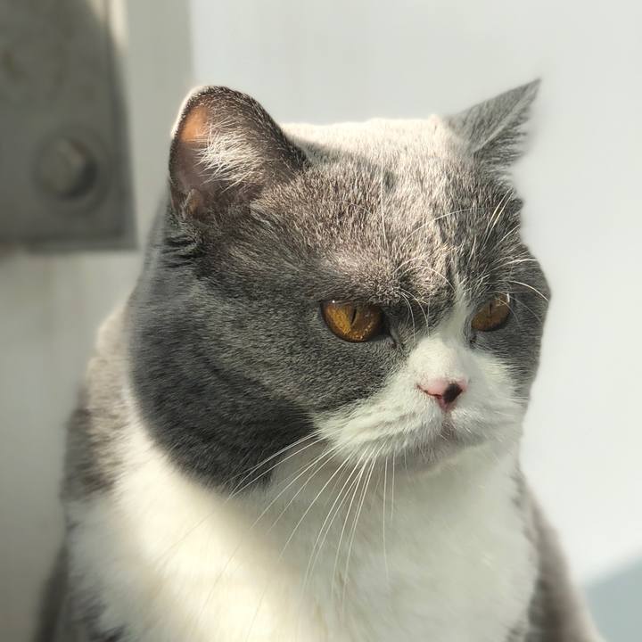 3974d12b fa00 4932 8dcf 0b51e33f6939 1512281247876