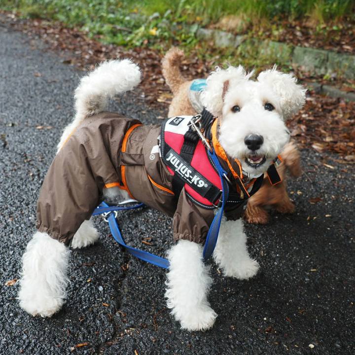 3974d8b6 2291 4df7 ac6a 9e03864f222c 1508123098585