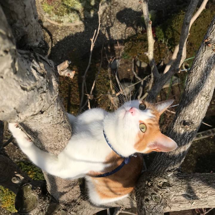 3974f409 ee6b 433e a4ff 5d2cfade4b5e 1511690944005