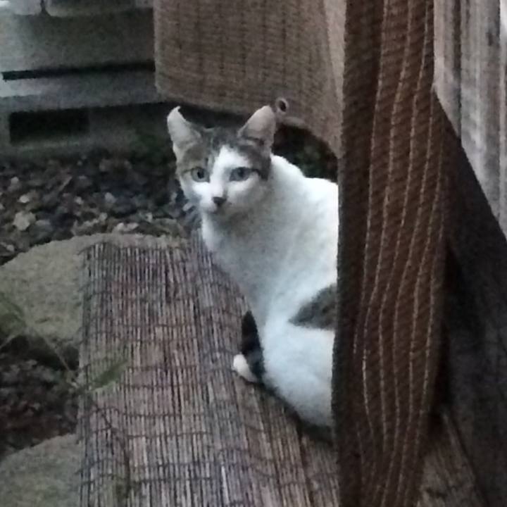 39751723 4ad8 4424 84ca 9965d4ff3a01 1544638239428