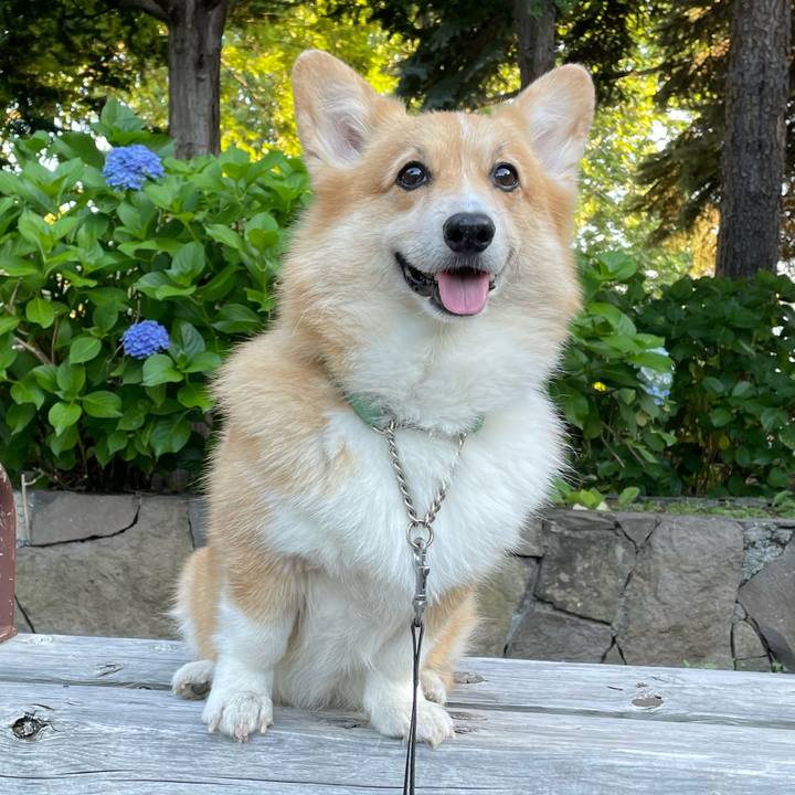 39753ce9 c026 4ba4 a760 be8b161eb015 1763192449856