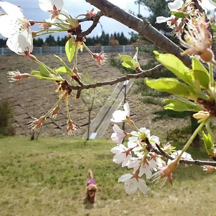 39756a9d fb30 45ea abbc 91f662310ad9 1523800726697