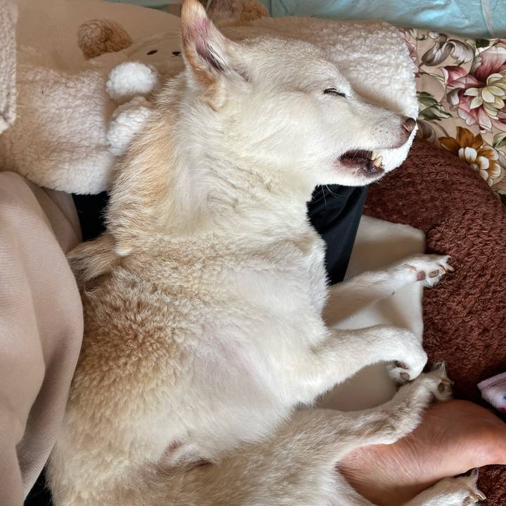 397570cb f84c 4d84 9323 30e70a2a80c5 1676605637328