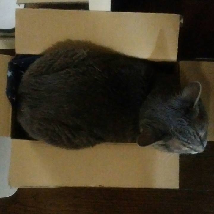 3975b146 b53e 4081 bca7 5fa1954b1d89 1535871384025