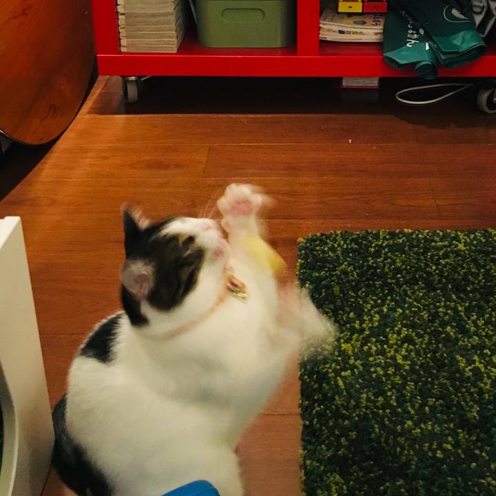 3975e506 9f47 4804 a026 6d26d9c23b36 1593172499899