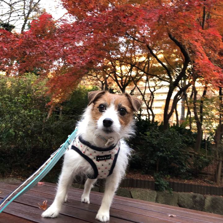 3975f53a 6bbf 4c70 b1f4 2282b381a44f 1607856198235