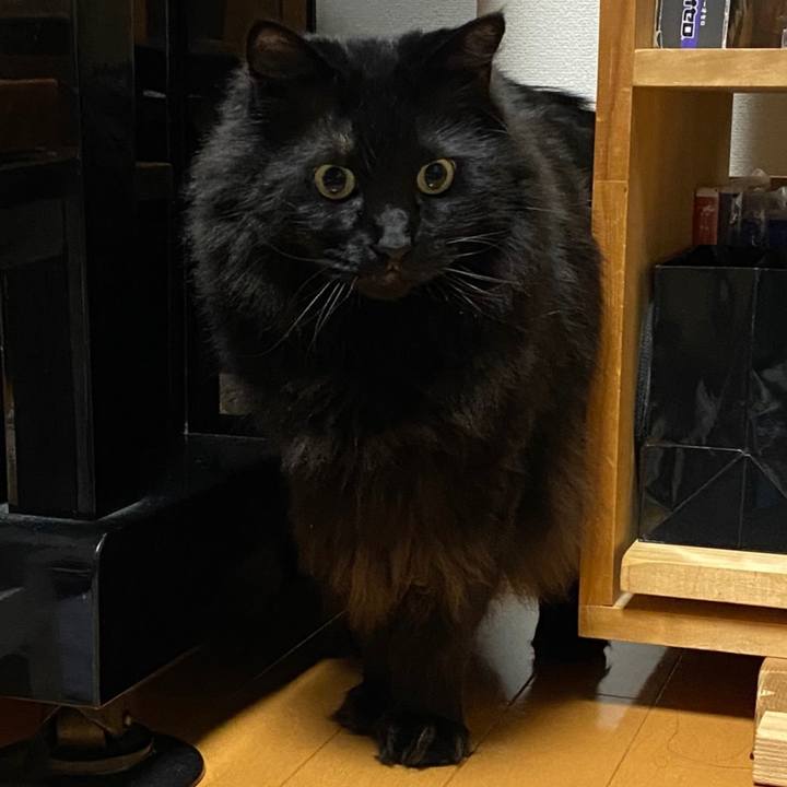 39760030 5083 4428 b548 8aea47104d30 1614349989651