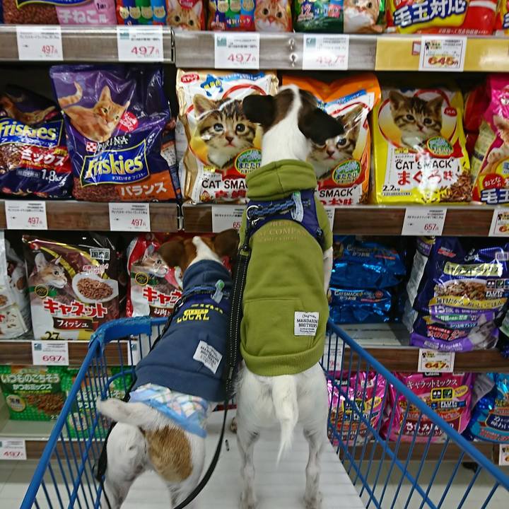 3976293f 8a9e 48e1 bc07 38397111aa11 1548483541453