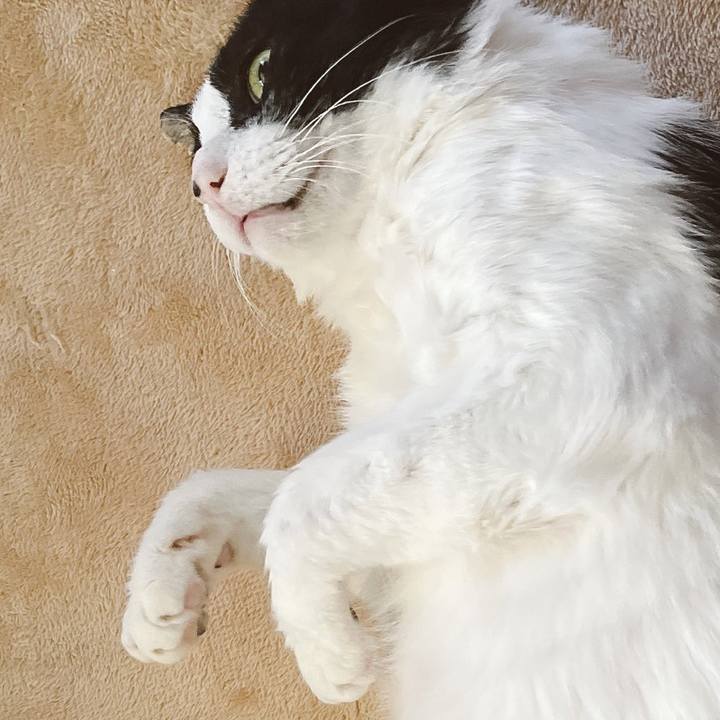 39763393 370b 4958 a6c5 058e686b668f 1645284152268