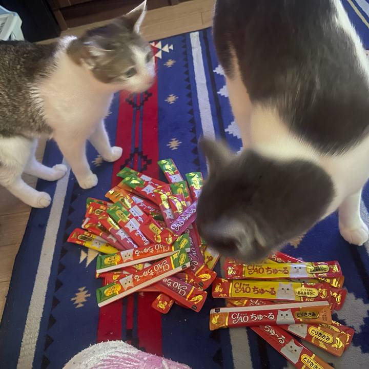 39764fc5 c530 4f97 a581 11e19d96eee0 1626946806775