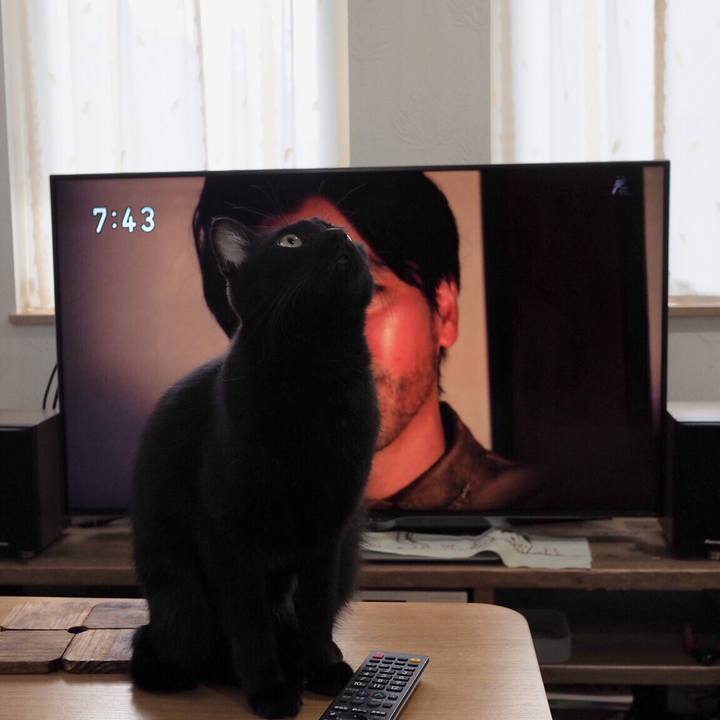 39765a09 ee97 4ab4 ac64 51d56f626bed 1541027346833