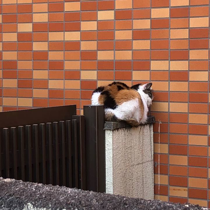 397666c4 e59b 41b0 9e4c 59b58c05127a 1638014576696