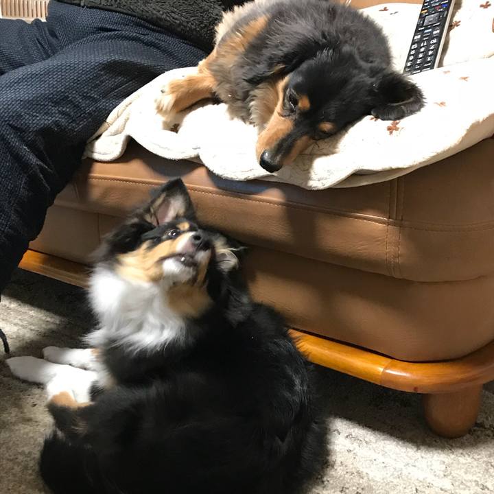 39767d6c 0776 4c66 bb20 43aea487886b 1516400044017