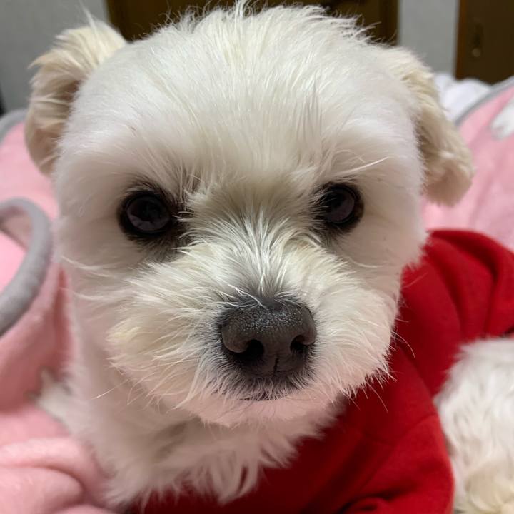 39768d7e 882f 49e1 9117 83d81871d4ed 1576843682210