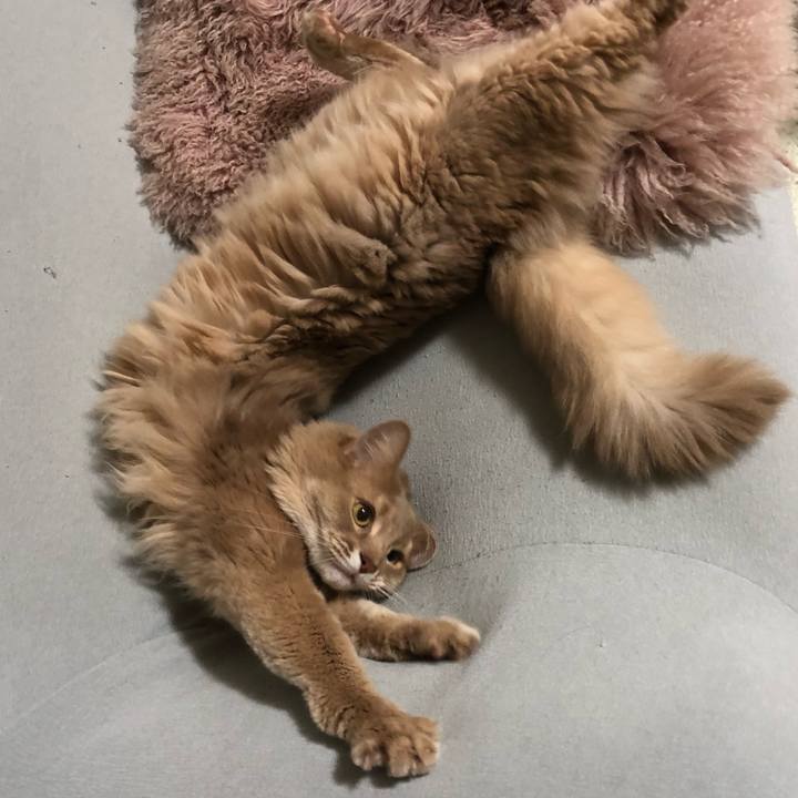 3976a562 8ca6 4ea8 ac11 2bf9724842b7 1637682934142