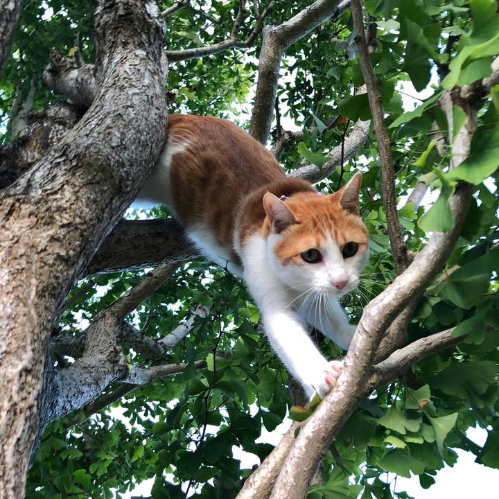 3976d668 cb29 4934 b5bb a4cb5e4d9565 1537948650530