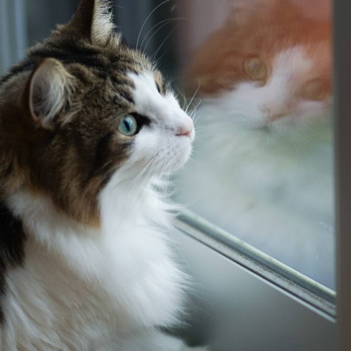 39770efd b6a0 4e9d 92c6 adda33b2a476 1604910070657