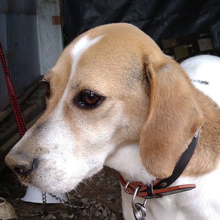 39771a72 0bdf 4b1c 8f31 f21977b911ae 1652335679895